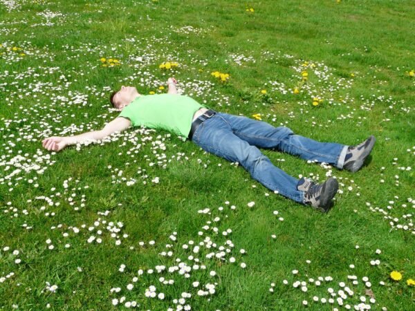 dreams about the living dead