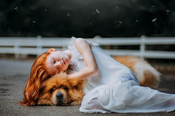 dream about a dog biting you