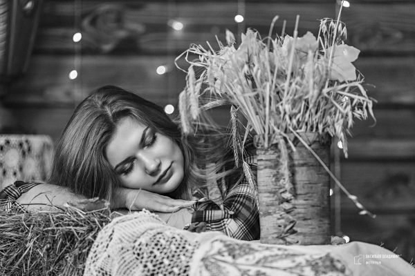 dream about black bear in house