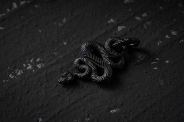 what does dreaming about a black snake mean